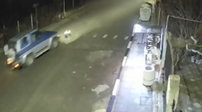 Ловджийското куче в Габър прегазено от джипа на кметския наместник на Горно Езерово
