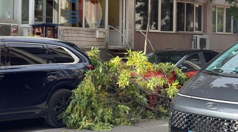 Клон се стовари на сантиметри от майка с малко дете във Варна